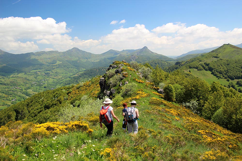 destination-bellevue-ete