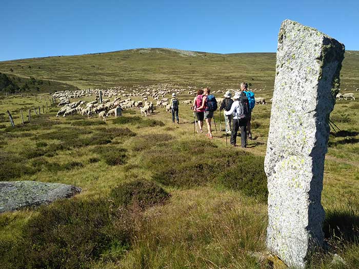 destination-cheminfrancis-randonnee-opti randonnée dans les cevennes