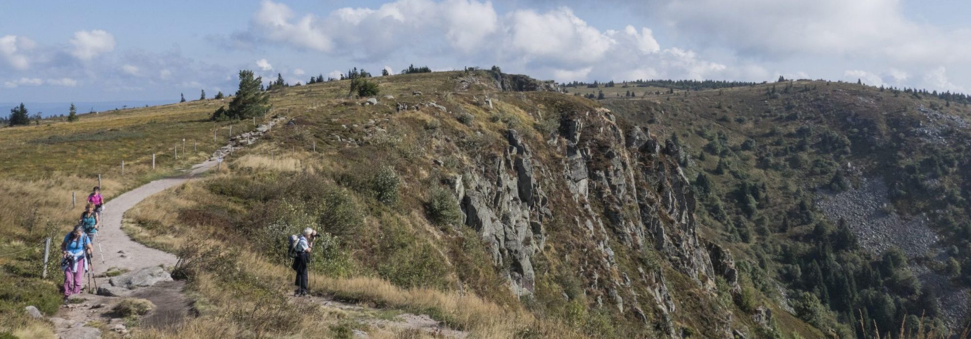 destination-vosges-ete-paysage paysage alsace