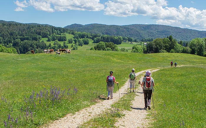 destination-jura-randonnee